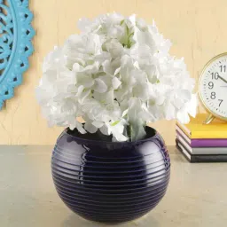 VarEesha Navy Blue Ceramic Planter Pot - Set of 1-13