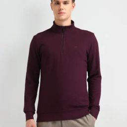 Arrow Maroon Cotton Regular Fit Sweatshirt-picture-39