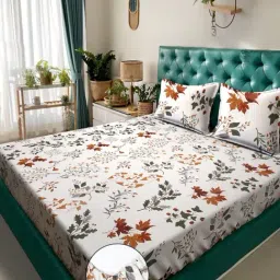 Klotthe Off White Cotton Blend Printed 300 TC King Fitted Bedsheet with 2 Pillow Covers-picture-24