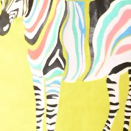 Anthrilo Boys Multi Zebra Create Art T-Shirt image 4