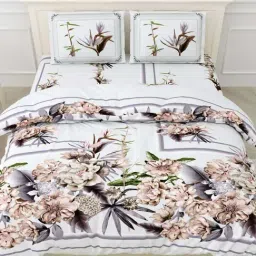 Living Roots Grey 300 TC Cotton King Bedsheet with 2 Pillow Covers-picture-27