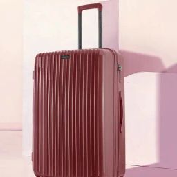 Nasher Miles Pondicherry Hard-side Polypropylene Check-In Luggage Maroon 28 inch |75cm Trolley bag-image-75