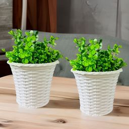 Akaar White 2 Pieces Jade Artificial Plant With Pot-6