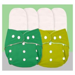 The Cheeky Kidzz Baby 2 Reusable Cloth Diaper Adjustable Diaper Nappies & 4 Bamboo Microfiber Inserts For (GRYL)-1