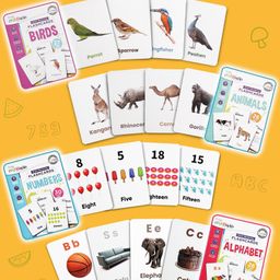 Intelliskills Bright Minds Set of 7 Flashcards | Alphabet, Numbers, Shapes & Colours, Fruits, Vegetables, Animals, Birds | Multicoloured | Boosts Knowledge & Curiosity | For Gifting | Educator Recommended | BIS Certified image 2