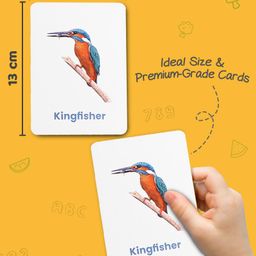 Intelliskills Bright Minds Set of 7 Flashcards | Alphabet, Numbers, Shapes & Colours, Fruits, Vegetables, Animals, Birds | Multicoloured | Boosts Knowledge & Curiosity | For Gifting | Educator Recommended | BIS Certified image 5