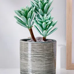 Home Centre Corsica Grey Succulent Artificial Plant With Ceramic Pot-57