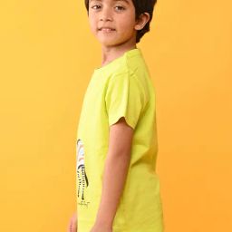 Anthrilo Boys Multi Zebra Lime Short Sleeves T-Shirt image 3