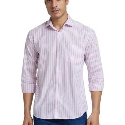 Park Avenue Medium Violet Slim Fit Striped Shirt-image-49
