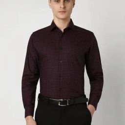 Van Heusen Purple Cotton Regular Fit Checks Shirt-image-56