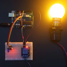 Control a Bulb using Relay Module and Touch Sensor Module-KT655Control a Bulb using Relay Module and Touch Sensor Module-KT655 image 2