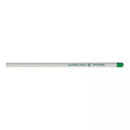 Bamboo Haat White Paper Seed Pencil for Home, Office & Schools, BH_WP_SPCL (Pack of 50 Pcs)-image-30