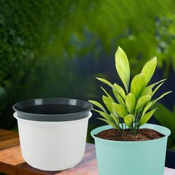 Kuber Industries 3-Pcs White & Grey Durable Planter with Plate image 1