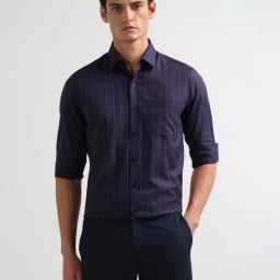 Arrow Purple Cotton Slim Fit Striped Shirt-picture-34