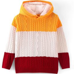Pine Kids Knit Full Sleeves Hooded Sweater With Cable Knit Design - Multicolour-image-71