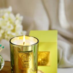 Pure Home and Living Green Jasmine Garland Scented Wax Filled Jar Candle-image-75