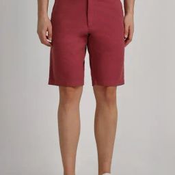 Allen Solly Maroon Slim Fit Shorts-picture-39