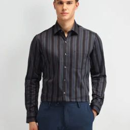 Arrow Brown Cotton Slim Fit Striped Shirt-image-98
