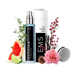 EM5 Men Elysium Long Lasting Eau De Parfum- 15 ml-image-53