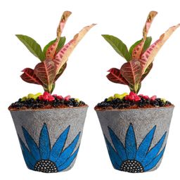 Aura White & Blue Textured Coir Planter-image-42