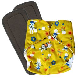 Domenico Washable Baby Diaper Premium Cloth Diaper Reusable Adjustable Size Waterproof Pocket Cloth Diaper Nappie (1 Diaper and 2 Insert Pad)-29
