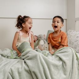 Haus & Kinder Plain Brush Cloth Super Soft Plush SingleFlannel Blanket, Sage Green-26