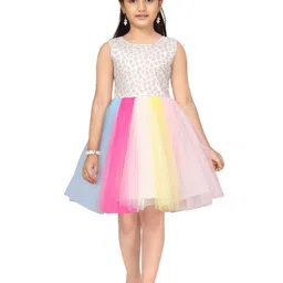 BAESD Net Fit & Flare Dress-image-12