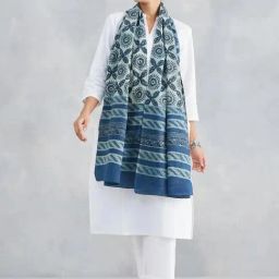 Fabindia Blue Cotton Printed Stole-picture-41