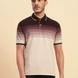 Cantabil Wine Regular Fit Colourblocked Polo T-Shirt-image-24