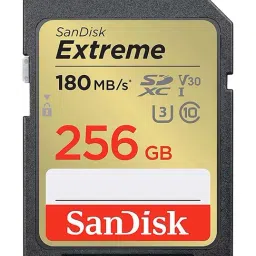 SanDisk Extreme SD UHS I 256GB Card for DSLR and Mirrorless Cameras (Black)-41