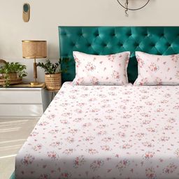 KLOTTHE Pink & Blue Floral Printed 300 TC Fitted King Bedsheet Set 2.50 m x 2.25 m-image-30
