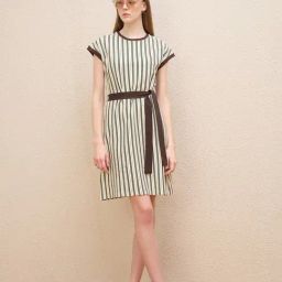 Iconic Brown Stripes Fabric Stretchable T-Shirt Dress-image-27