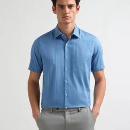 Arrow Blue Cotton Regular Fit Striped Shirt-picture-9