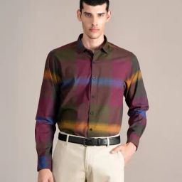 Cantabil Multicoloed Cotton Regular Fit Striped Shirt-image-16