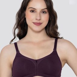 K LINGERIE Pack of 2 Moody Non Padded Everyday Bra-image-96