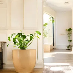 Go Hooked Beige & Green Pluto-Shaped Planter image 4