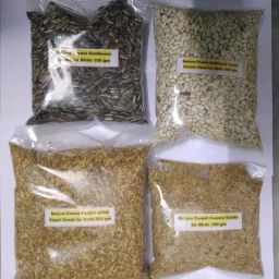 4 in 1 Combo Pack Kagni Seeds,Kusum Seeds,Sunflower Seeds,Canary Seeds for Birds Vegetable 1 kg Dry Adult, New Born, Young Bird Food-13