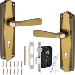 Iron Glossy Handlesets-picture-16