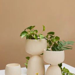 Muun Home Off-White Fiber-Glass Aden Organic Planter (Medium) image 3
