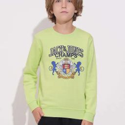 Jack & Jones Junior Boys Shadow Lime Printed Full Sleeves Pullover Sweatshirt-image-23