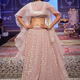 DIVASTRI Embroidered Sequinned Semi-Stitched Lehenga & Unstitched Blouse With Dupatta image 2