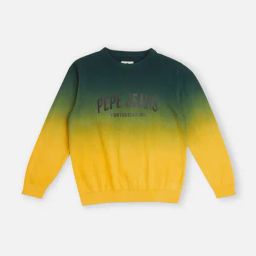 Pepe Jeans Kids Gold & Green Ombre Full Sleeves Sweater-image-32