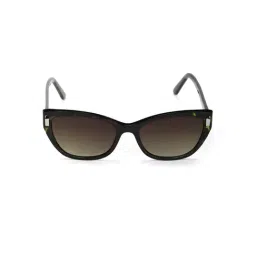 Enrico Eyewear Brown Cat Eye Sunglasses for Women-picture-10