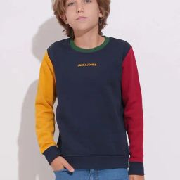 Jack & Jones Junior Boys Multicolor Color Block Full Sleeves Pullover Sweatshirt-image-80