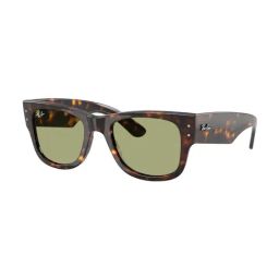 Ray-Ban Evolution Green Square UV Protection Unisex Sunglasses-41
