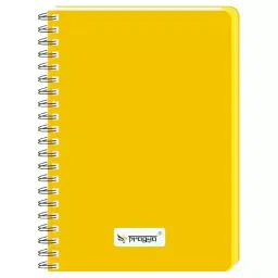 Pragya Elite A5 Single Ruled Notebook 70 GSM 160 Pages with Premium Textured Cover 14.5x21 cm (Pack of 4)-14