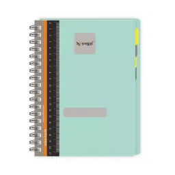 Pragya Elite Collection A5 Single Ruled Subject Notebook 70 GSM 300 Pages with PP Cover 14.8x21 cm (Pack of 2)-21