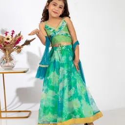 Elaisha Sleeveless Abstract Design Top With Lehenga & Net Dupatta Set - Sea Green & Lime Green-picture-20