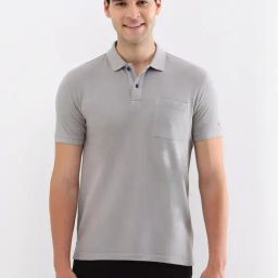 Allen Solly Grey Cotton Regular Fit Polo T-Shirt-image-55