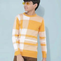 Crimsoune Club Kids Mustard Cotton Chequered Full Sleeves Sweater-image-92